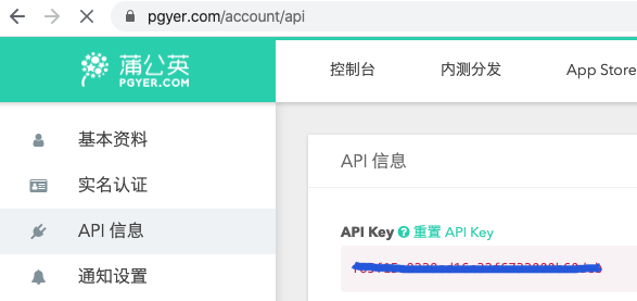 api-key